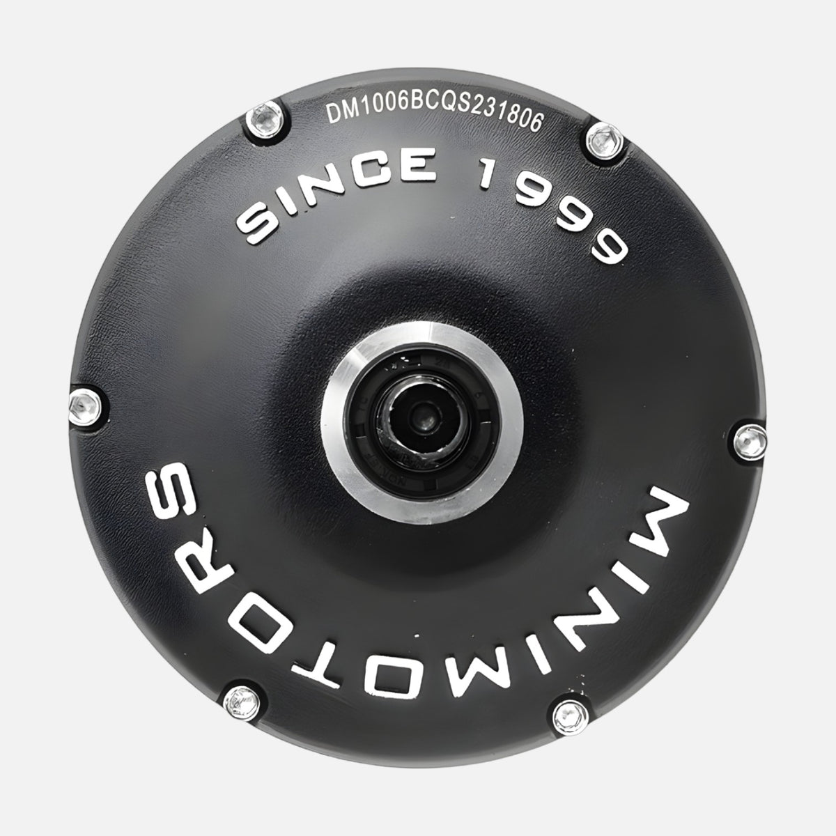 Vis BTR roue arrière Dualtron Mini (x6) Wheellow